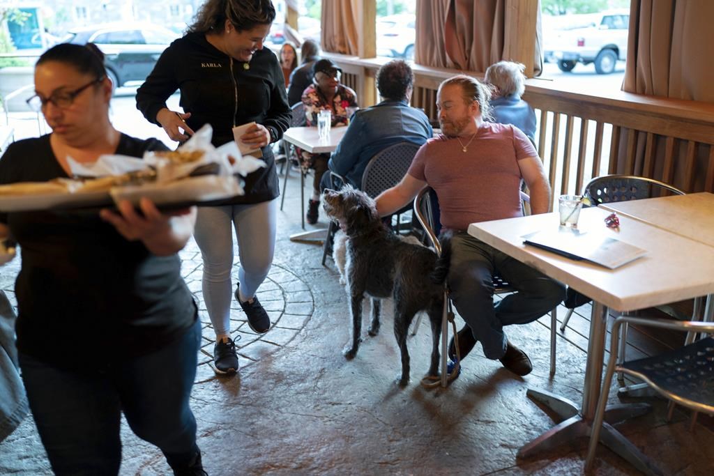 Vancouver Animal Services’ Reckless Negligence: Dogs in Cafés and the Dangerous Response from John Gray’s Office